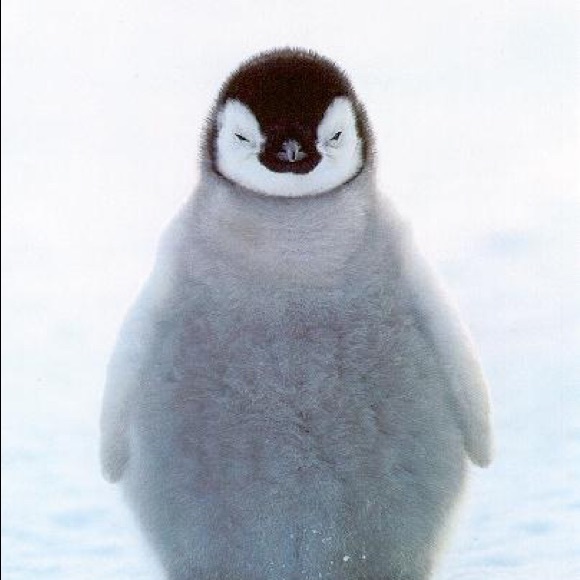 secretpenguin